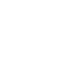 Falconcity