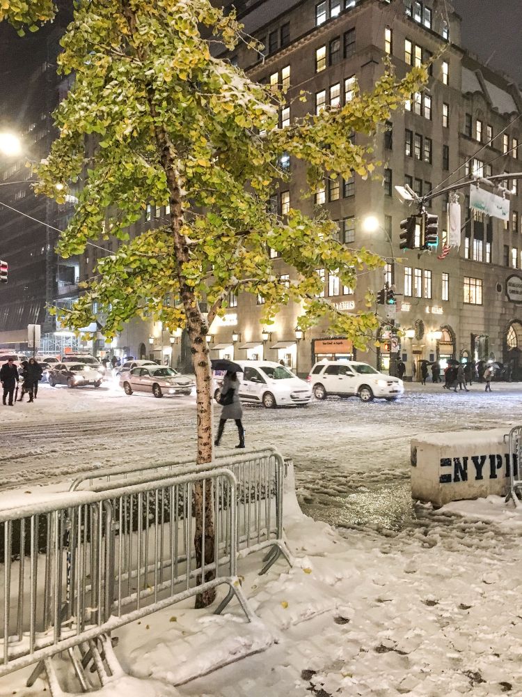 newyork-2018-snow.jpg